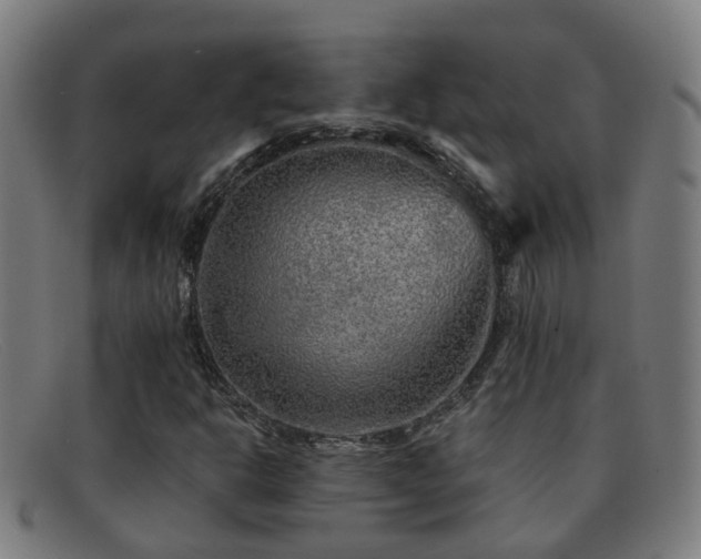 X0000092041302200709121146