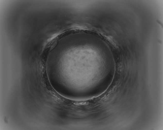 X0000092041303200709121146