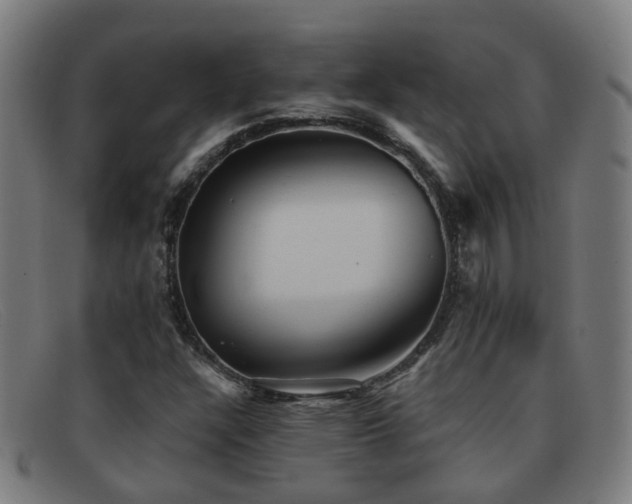 X0000092041304200709121146