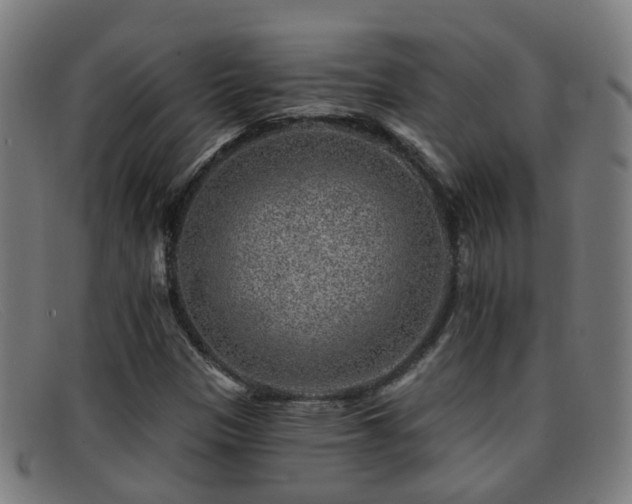 X0000092041305200709121146