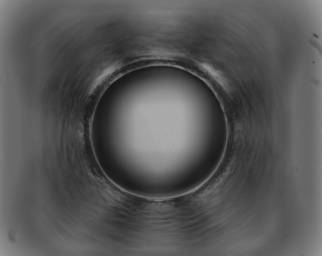 X0000092041307200709121146