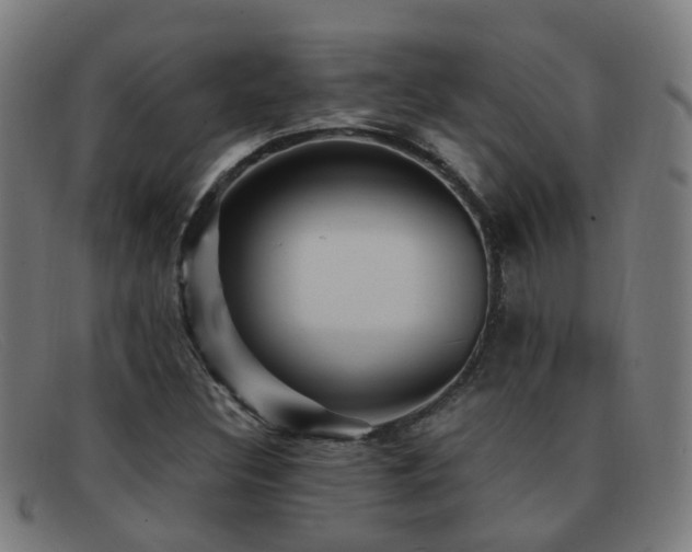 X0000092041308200709121146