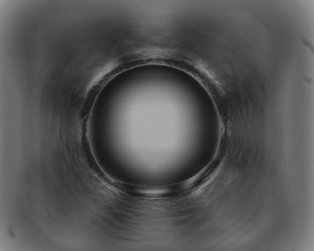 X0000092041309200709121146