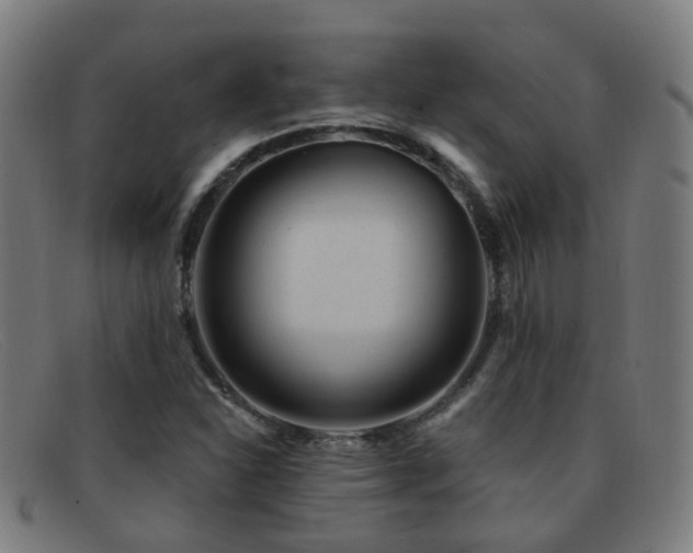 X0000092041310200709121146