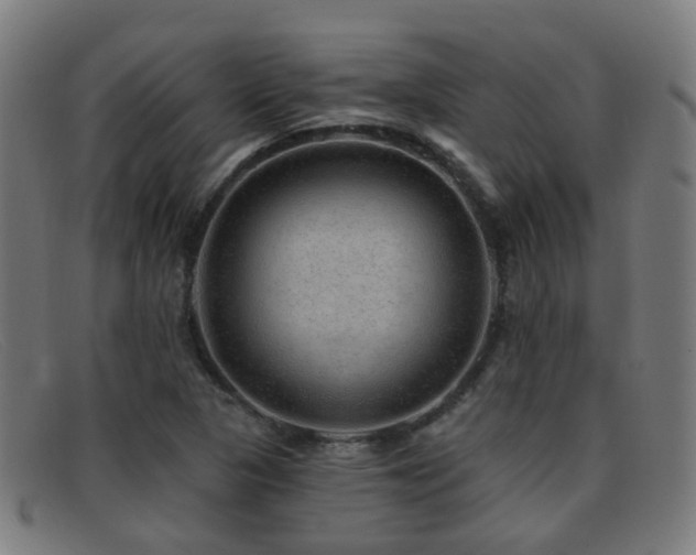 X0000092041313200709121146