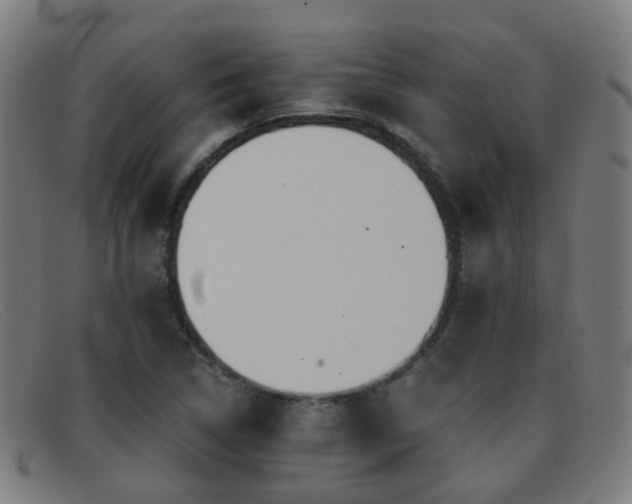X0000092041314200709121146