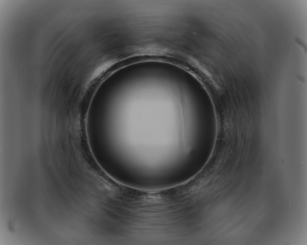X0000092041315200709121146