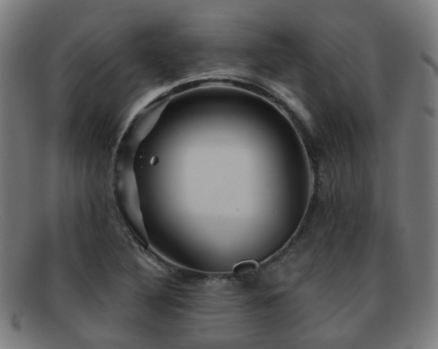 X0000092041316200709121146