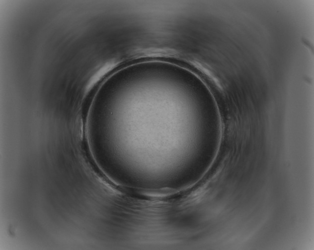 X0000092041317200709121146