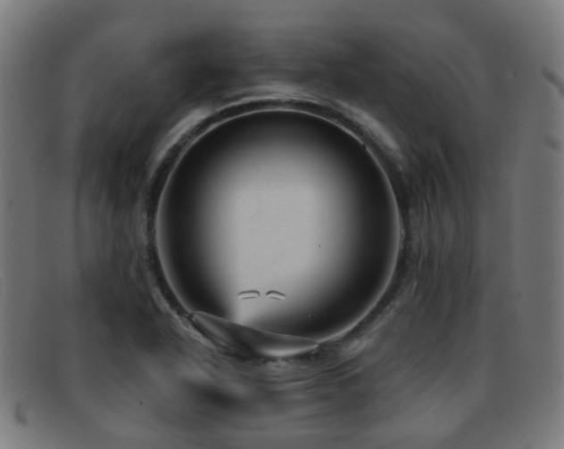 X0000092041318200709121146