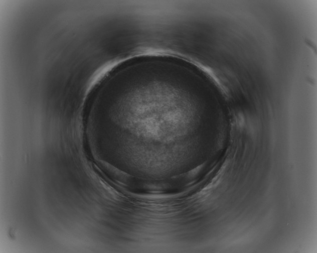 X0000092041319200709121146
