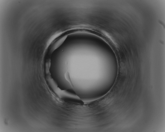 X0000092041320200709121146