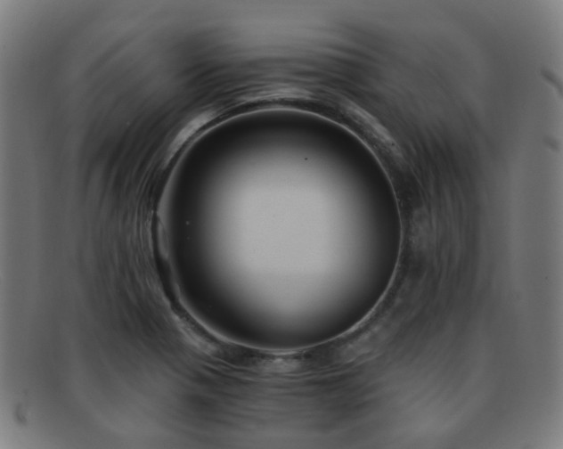 X0000092041321200709121146