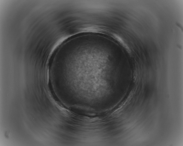 X0000092041323200709121146