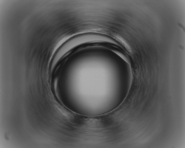 X0000092041324200709121146