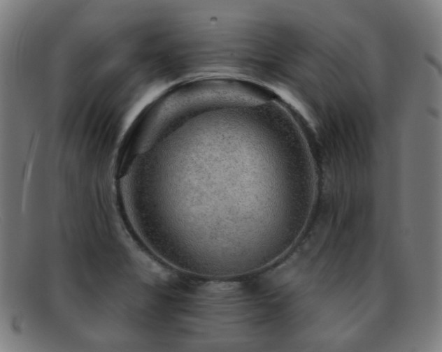 X0000092041325200709121146