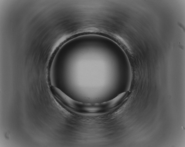 X0000092041326200709121146
