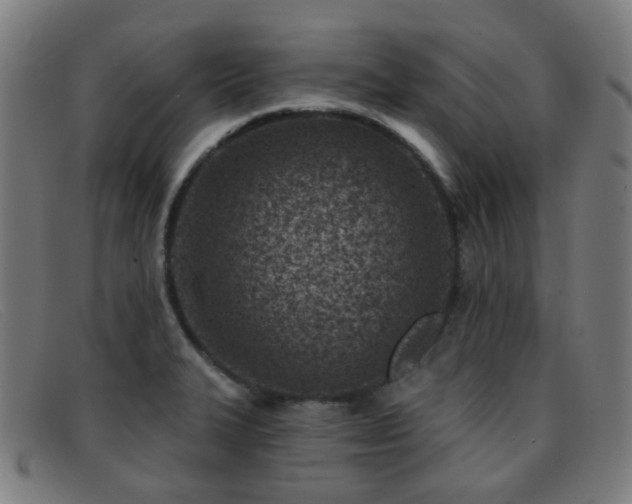 X0000092041327200709121146