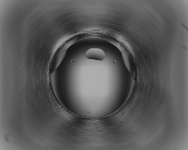 X0000092041328200709121146