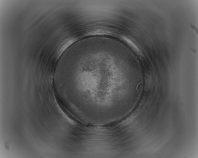 X0000092041329200709121146