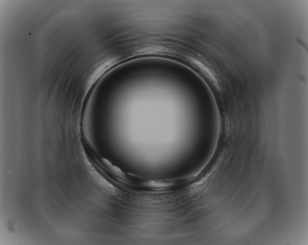 X0000092041330200709121146