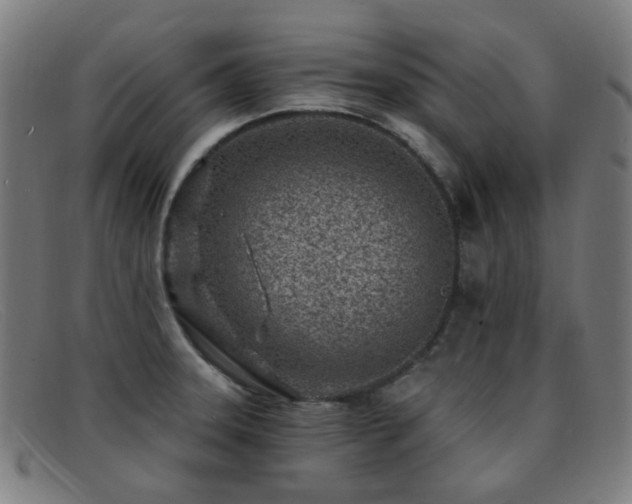 X0000092041331200709121146