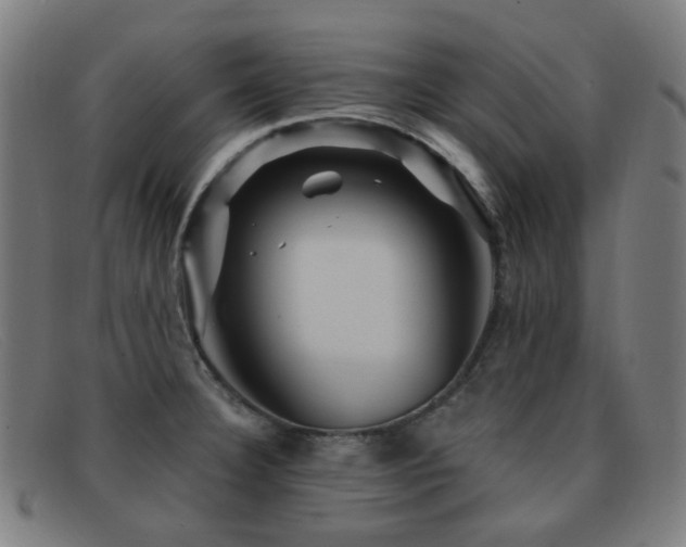 X0000092041332200709121146