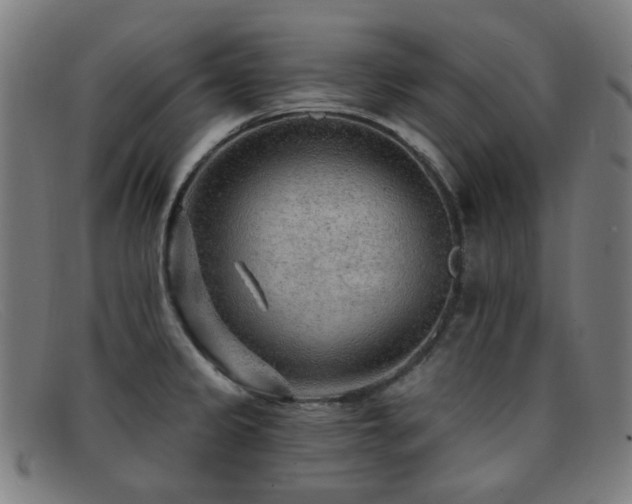 X0000092041333200709121146