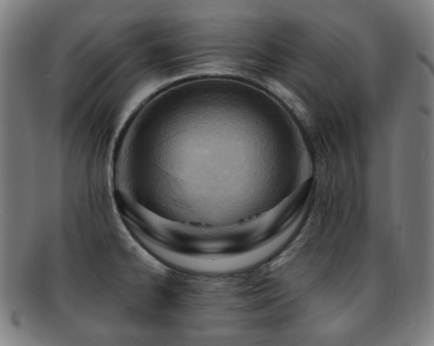 X0000092041334200709121146