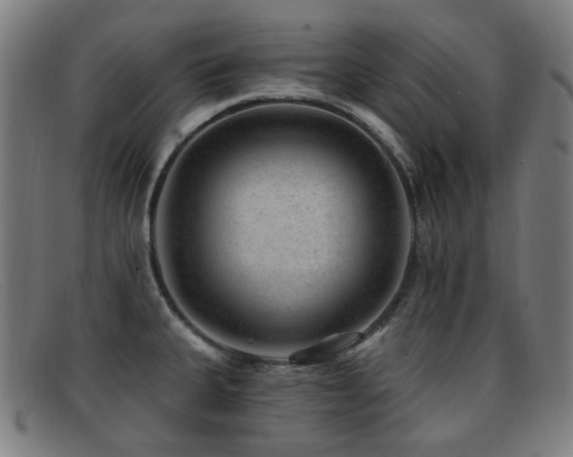 X0000092041335200709121146