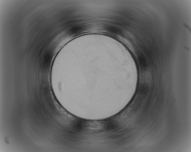 X0000092041338200709121146