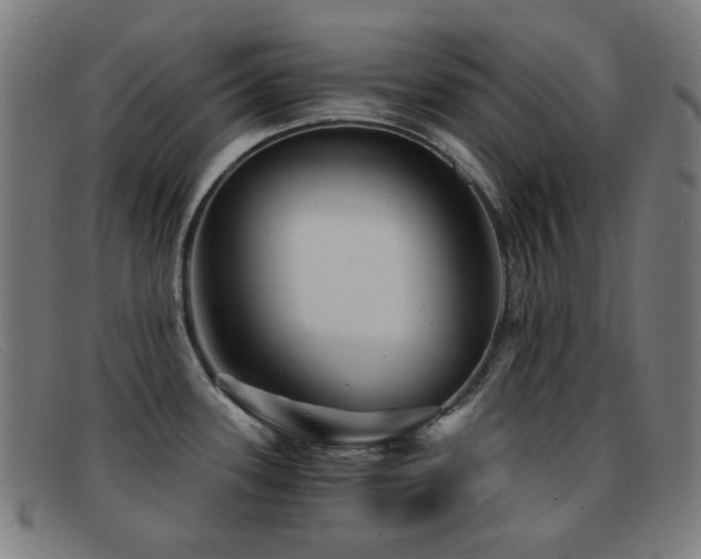 X0000092041339200709121146