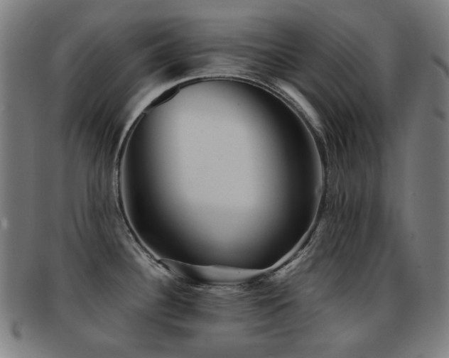 X0000092041340200709121146