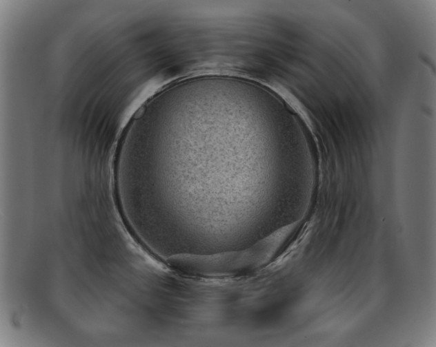 X0000092041341200709121146
