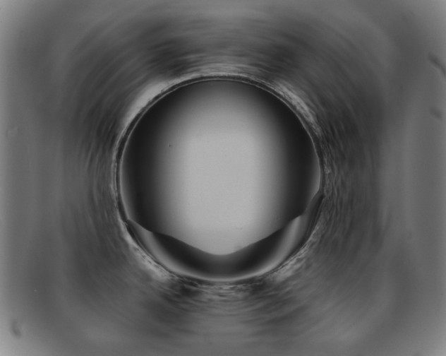 X0000092041342200709121146