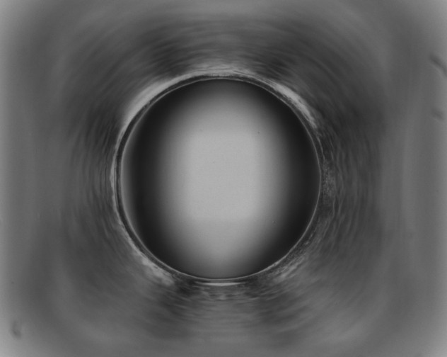 X0000092041343200709121146