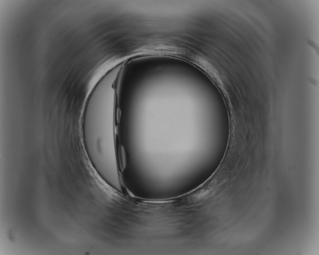X0000092041344200709121146