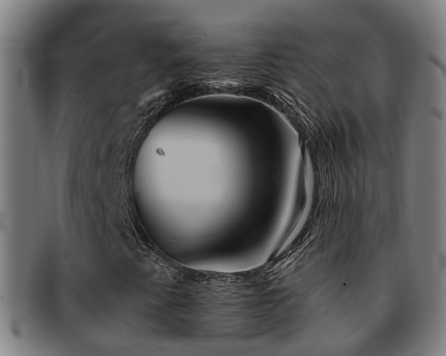 X0000092041345200709121146