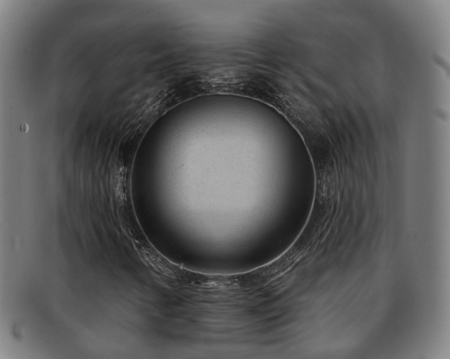 X0000092041346200709121146