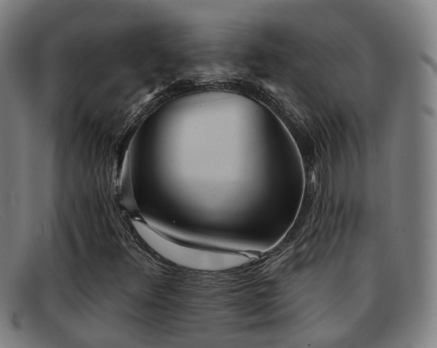 X0000092041348200709121145