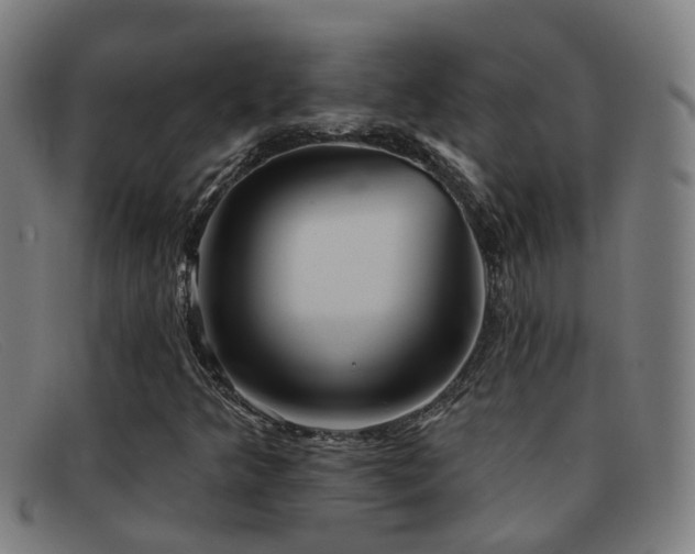 X0000092041349200709121145
