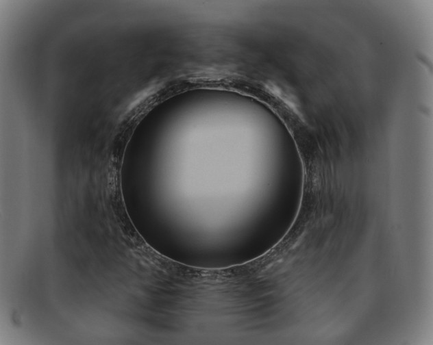 X0000092041350200709121145
