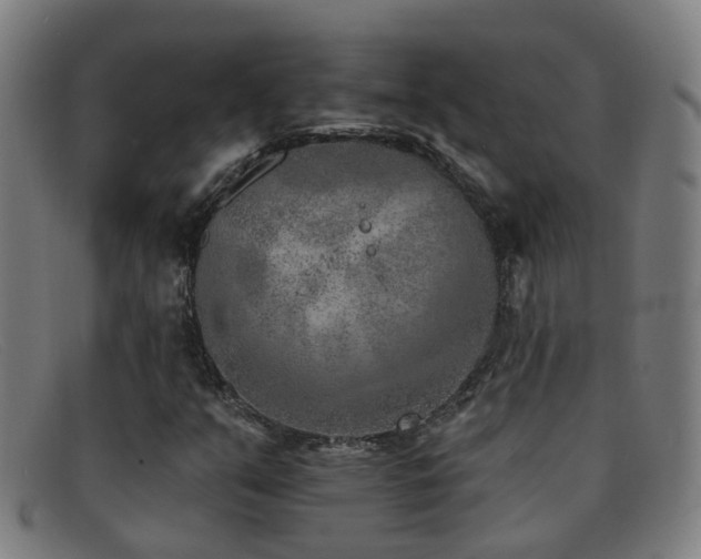 X0000092041351200709121145