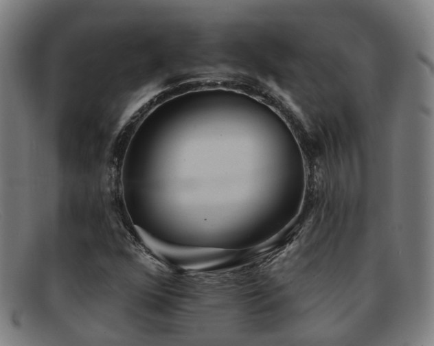 X0000092041352200709121145