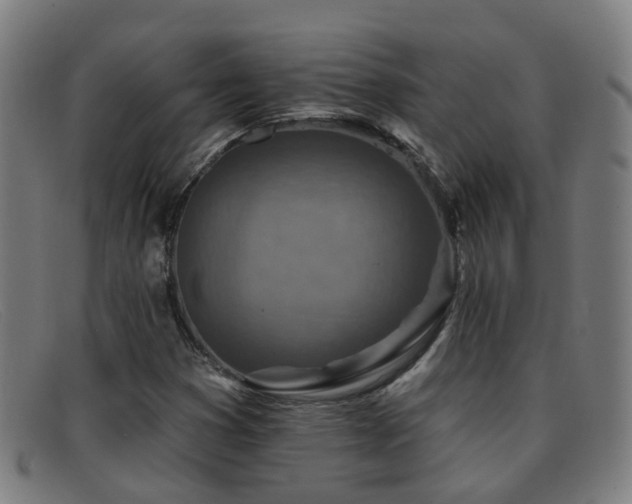 X0000092041353200709121145
