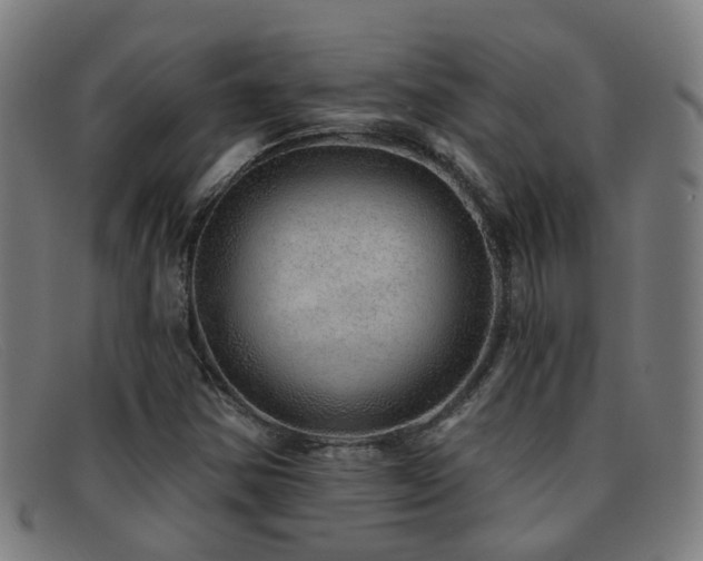 X0000092041354200709121145