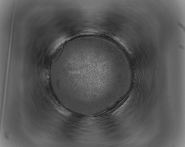 X0000092041355200709121145