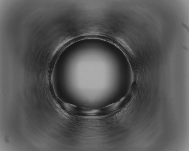X0000092041356200709121145