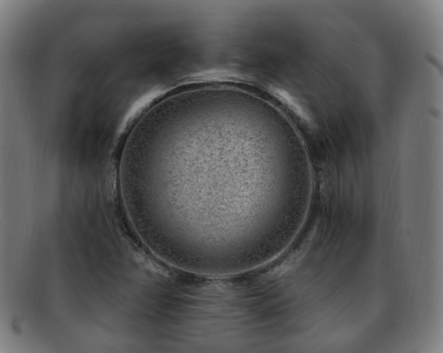 X0000092041358200709121145
