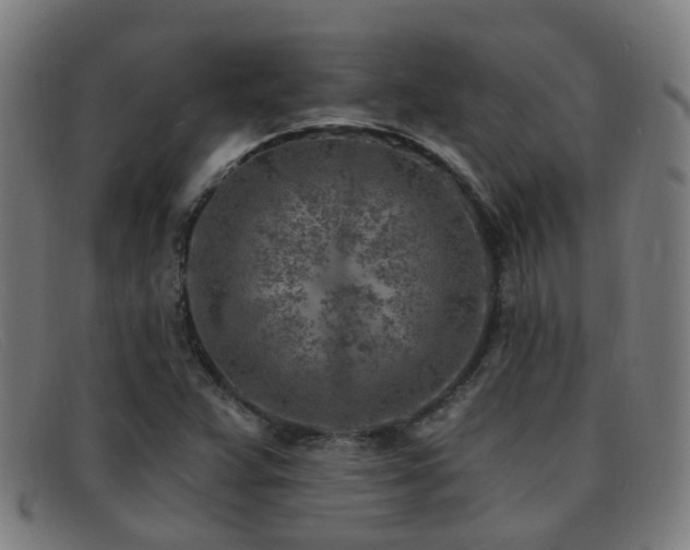 X0000092041359200709121145